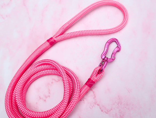 Pink Rope Dog Leash