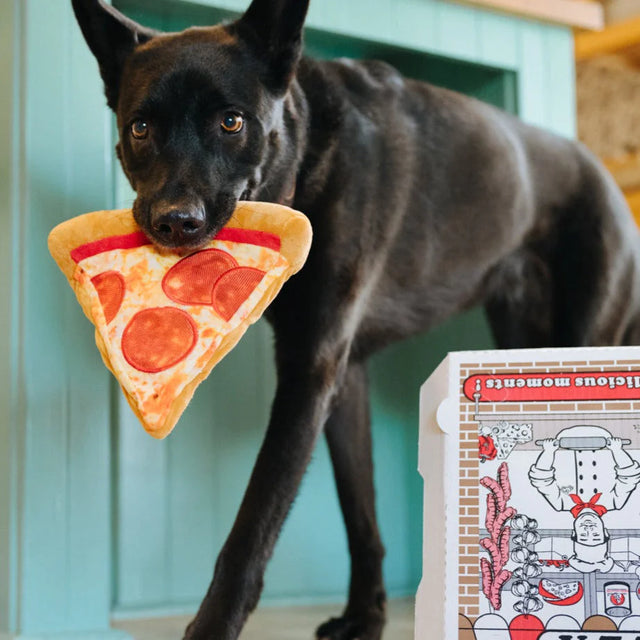 P.L.A.Y. Snack Attack | PUPPY-RONI PIZZA Dog Toy