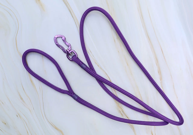 Purple Rope Dog leash