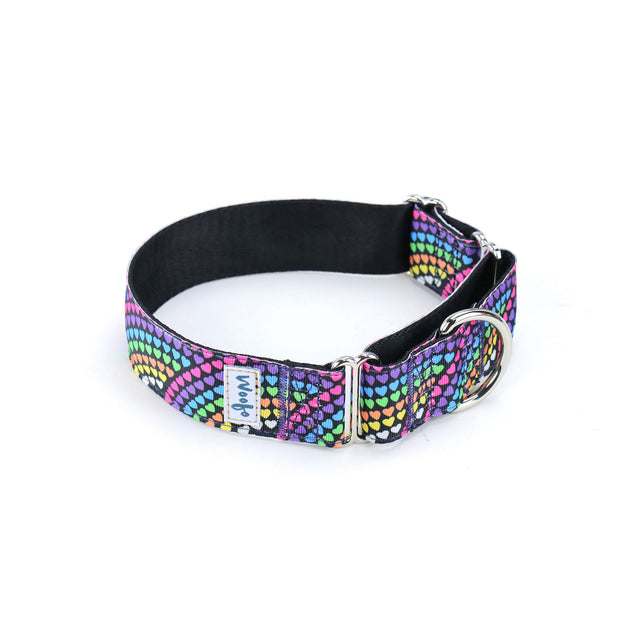 Rainbow Love Martingale Dog Collar