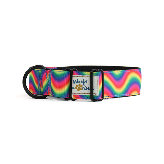Rainbow Waves Martingale Dog Collar