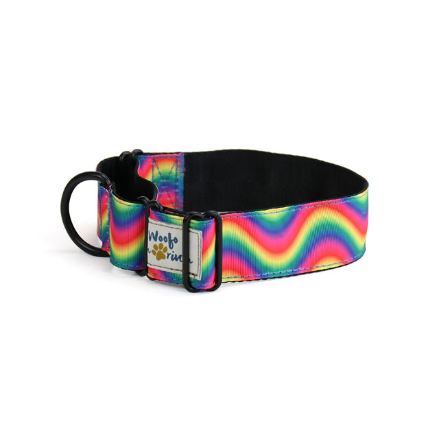 Rainbow Waves Martingale Dog Collar