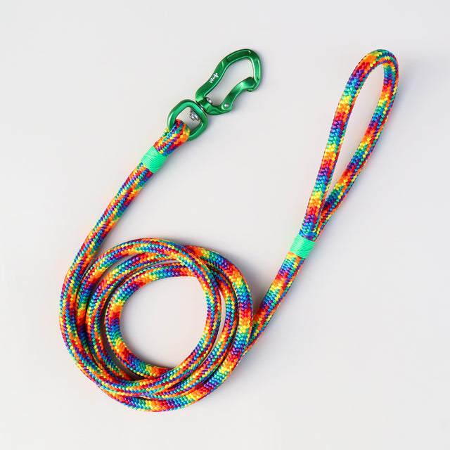 Rainbow Rope Leash - Green