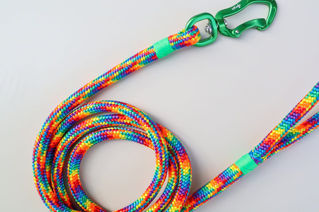 Rainbow Rope Leash - Green