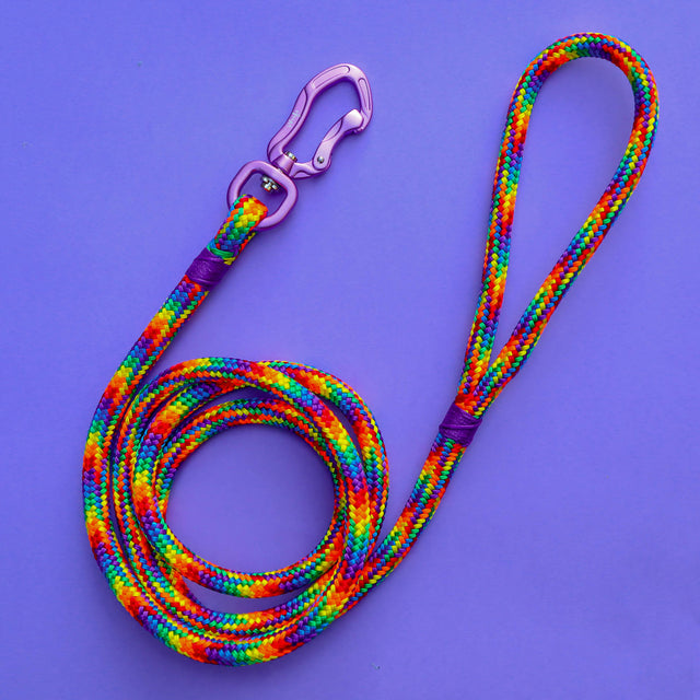 Rainbow Rope Leash - Purple