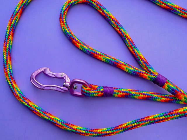 Rainbow Rope Leash - Purple