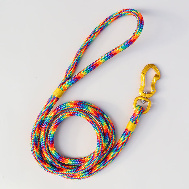 Rainbow Rope Leash - Gold