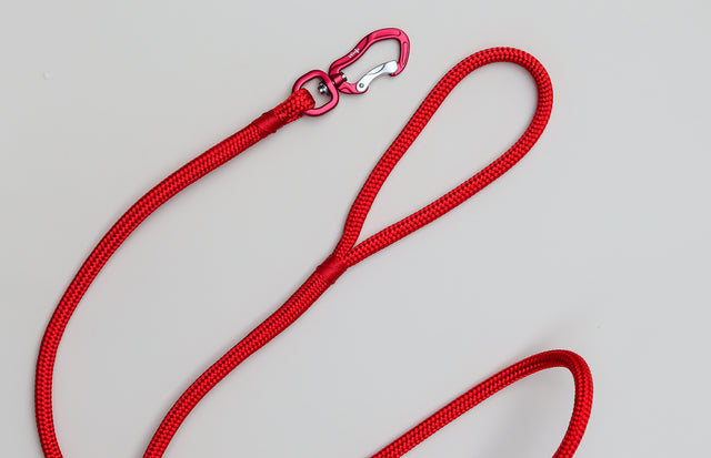 Red Rope Leash