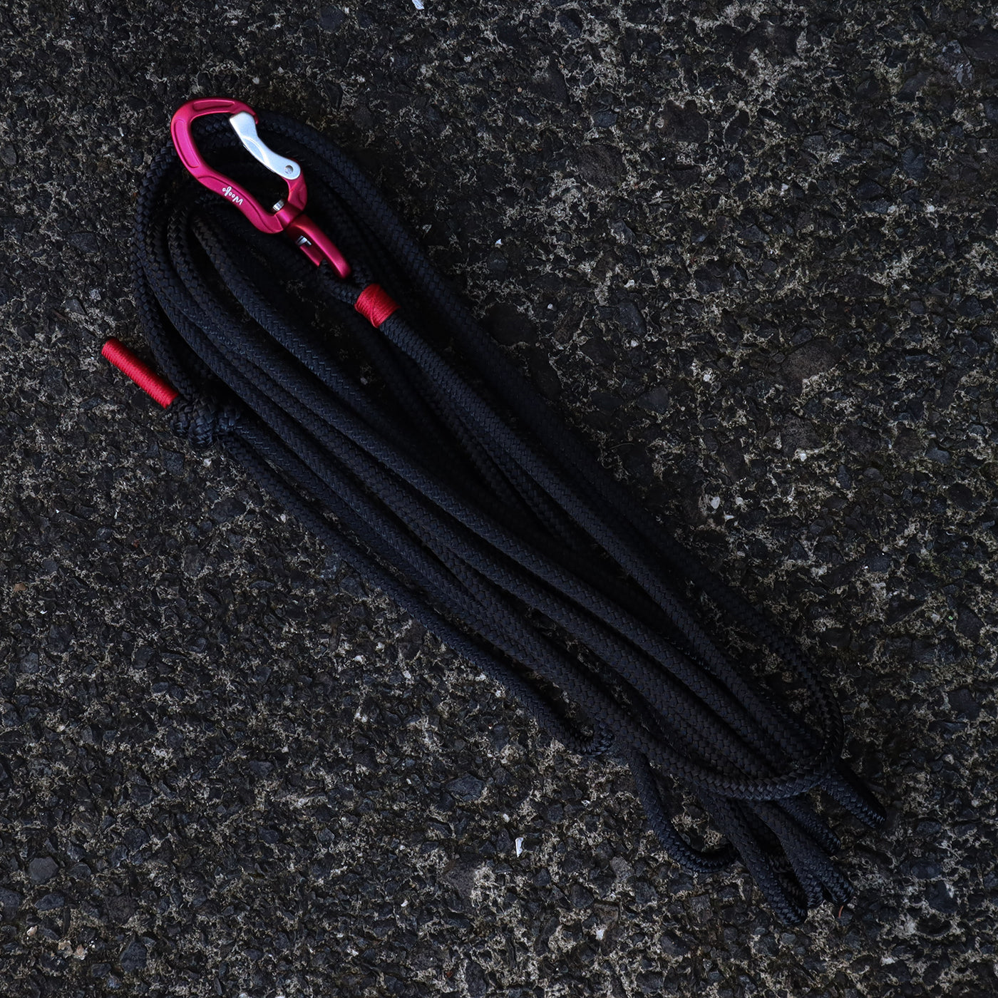 Red & Black Long Line - 5m Rope Long Line - Recall Training Leash ...