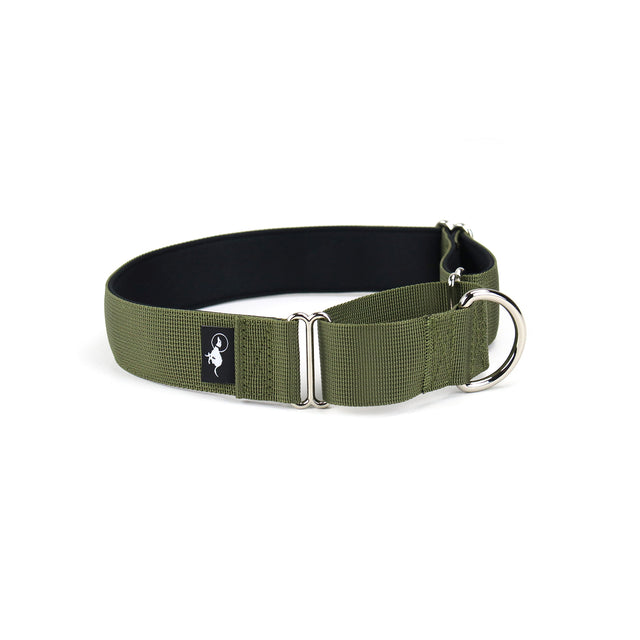 Adventure Martingale Collar - Olive