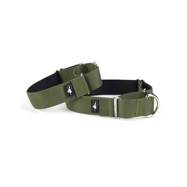 Adventure Martingale Collar - Olive