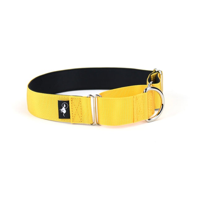 Adventure Martingale Collar - Yellow