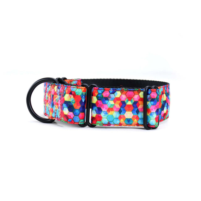 Spacehive Martingale Dog Collar
