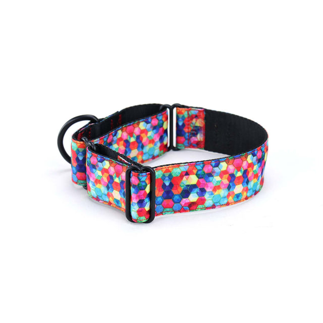 Spacehive Martingale Dog Collar