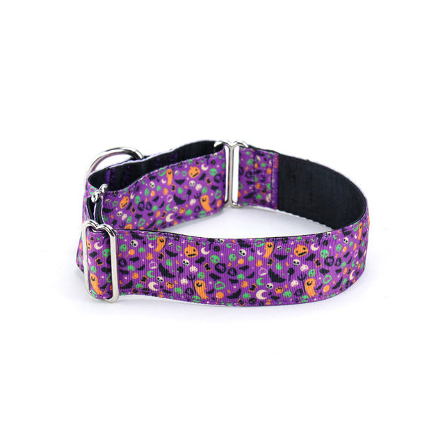 Spooky Night Martingale Dog Collar