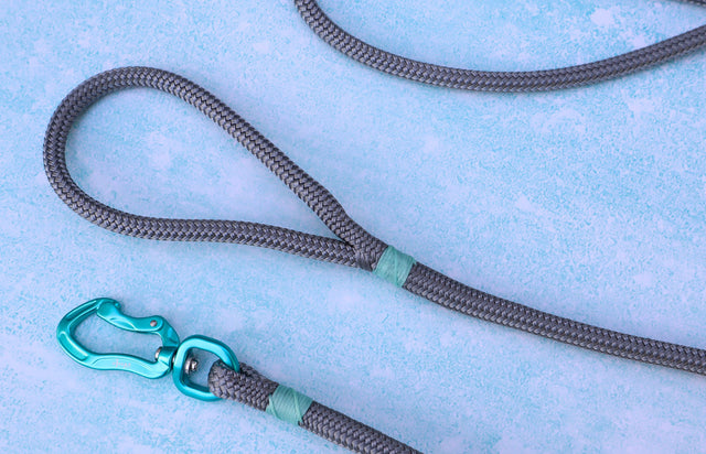 Teal & Grey Rope Dog Leash