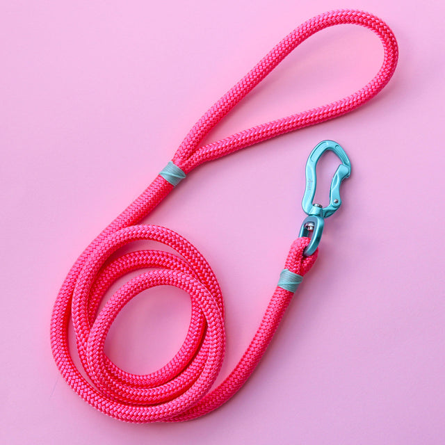 Teal & Pink Rope Leash