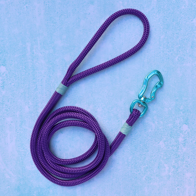 Teal & Purple Rope Dog leash