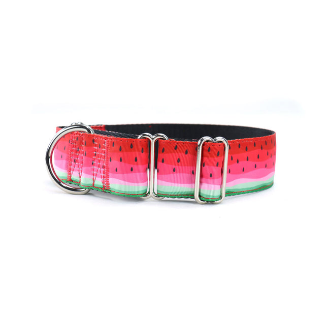 Watermelon Martingale Dog Collar