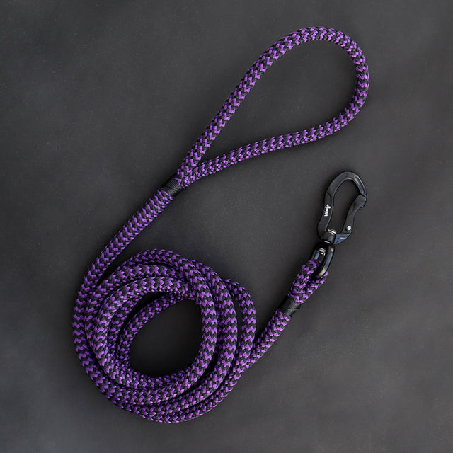 Zippy Purple Rope Leash