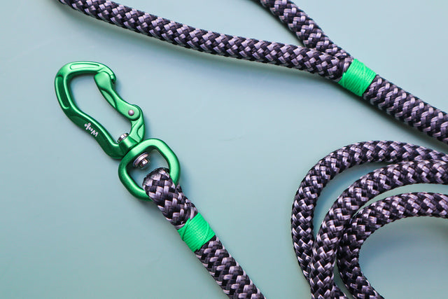 Zippy Silver Rope Leash - Green