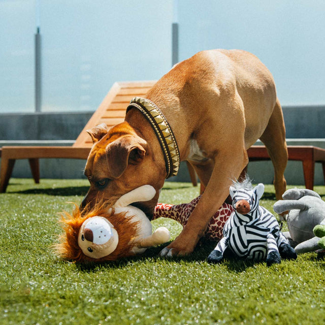 P.L.A.Y. Safari | Lion Dog Toy